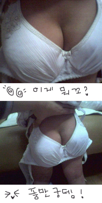 첨부 이미지